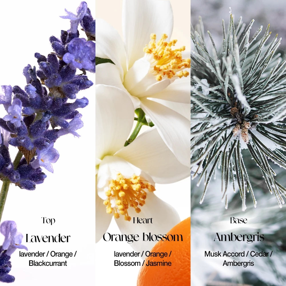 Libre Blossom Wonderland Perfume