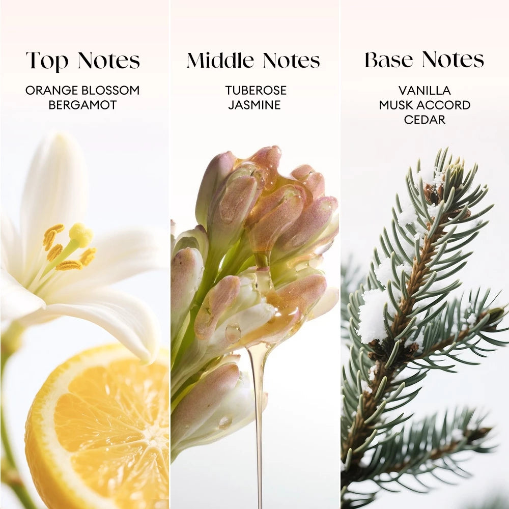 TubeRose Wonderland Perfume
