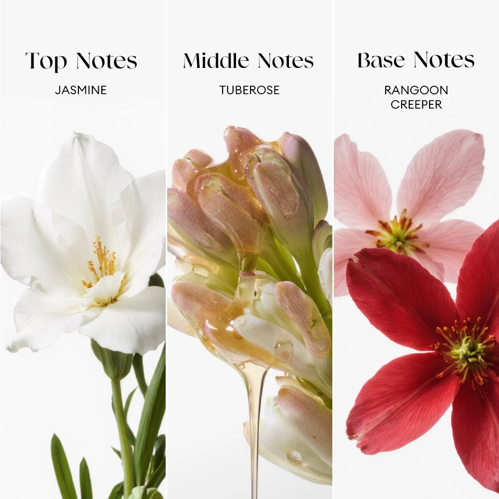 Bloom Secrets Wonderland Perfume