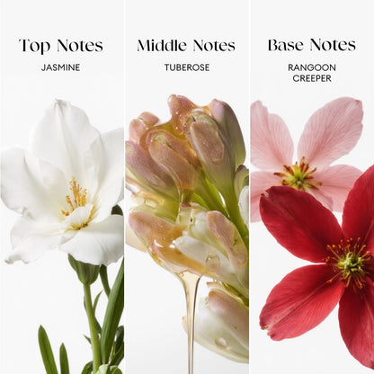 Bloom Secrets Wonderland Perfume