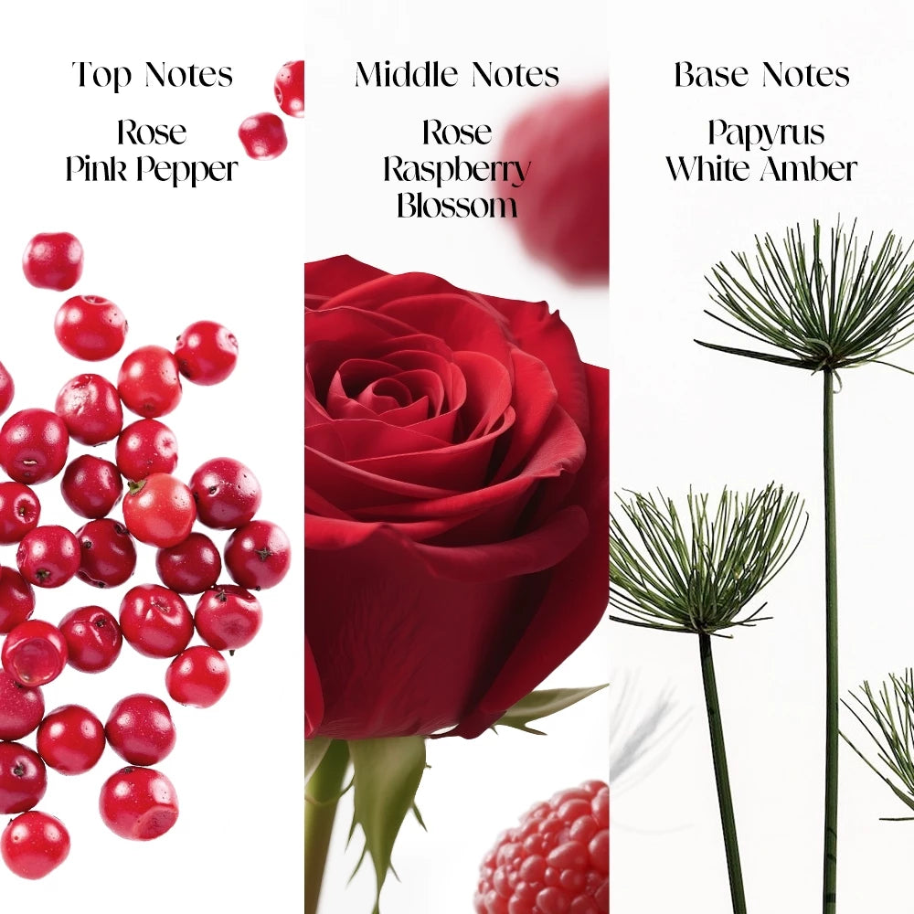 Wild Rose Fresh Wonderland Parfum